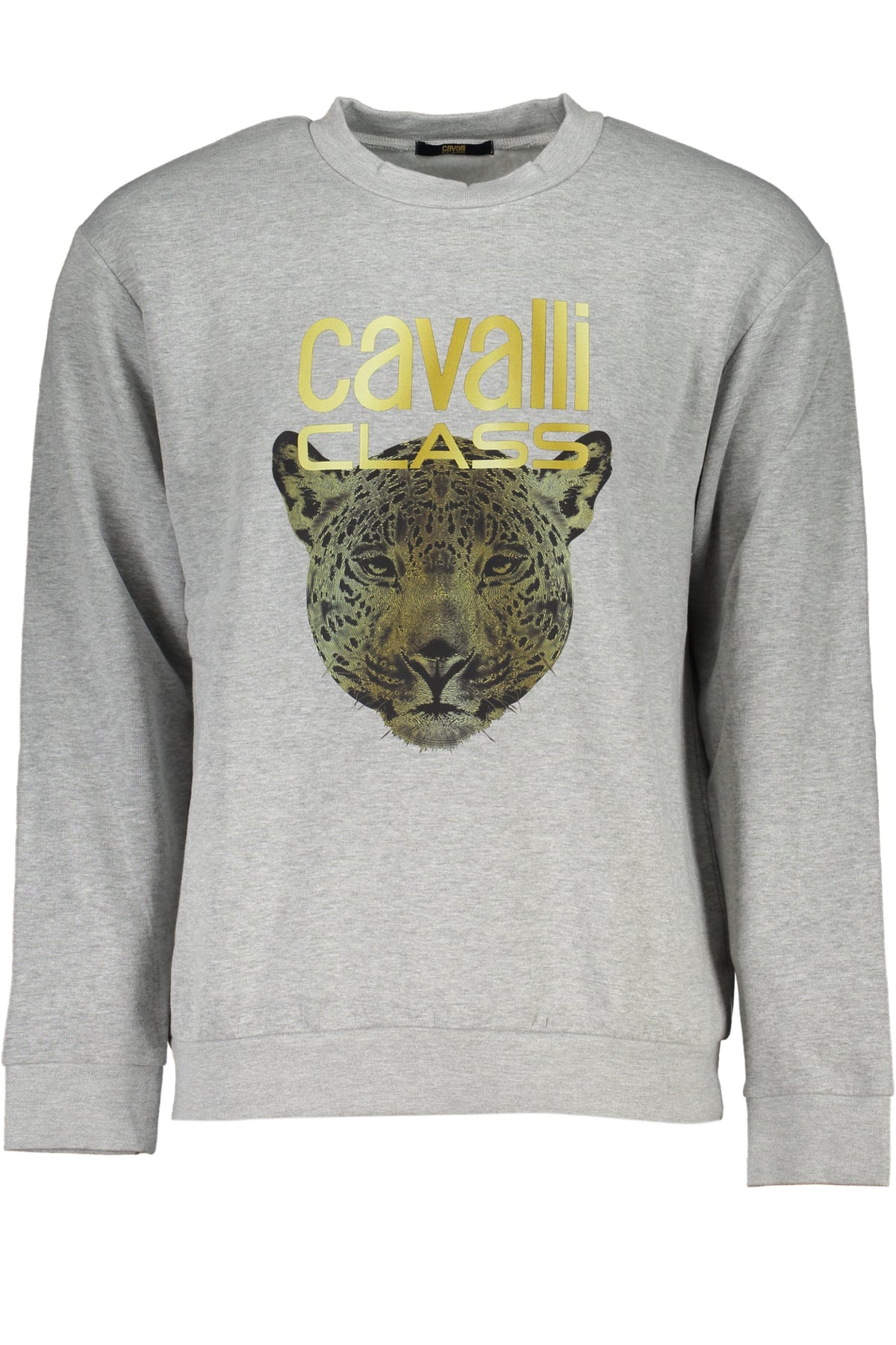CAVALLI CLASS Sudaderas Hombre Gris