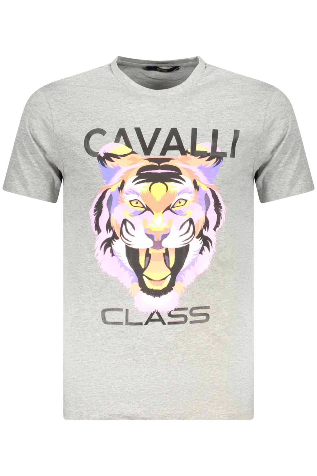 CAVALLI CLASS Camisetas Hombre Gris