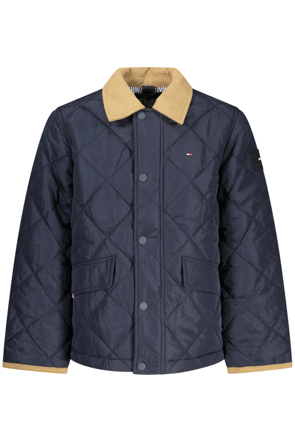 TOMMY HILFIGER Abrigos y Chaquetas Niño Azul