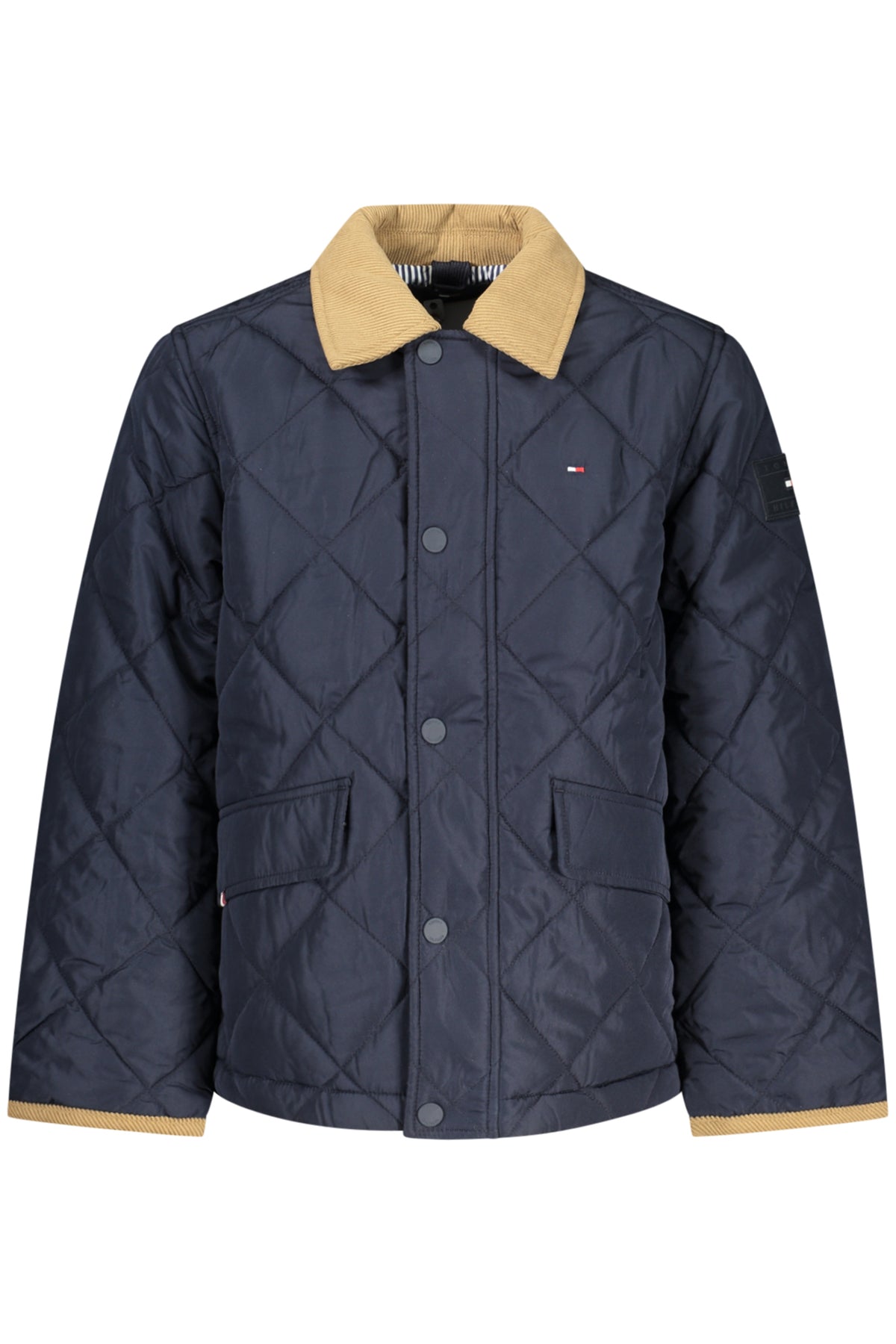 TOMMY HILFIGER Abrigos y Chaquetas Niño Azul