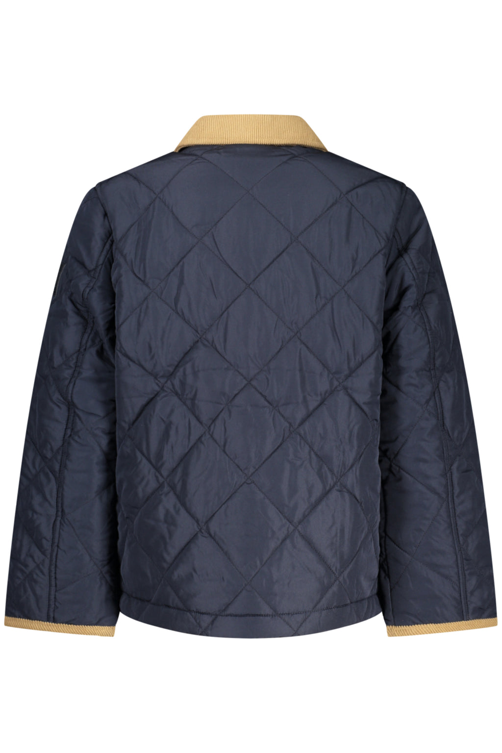 TOMMY HILFIGER Abrigos y Chaquetas Niño Azul