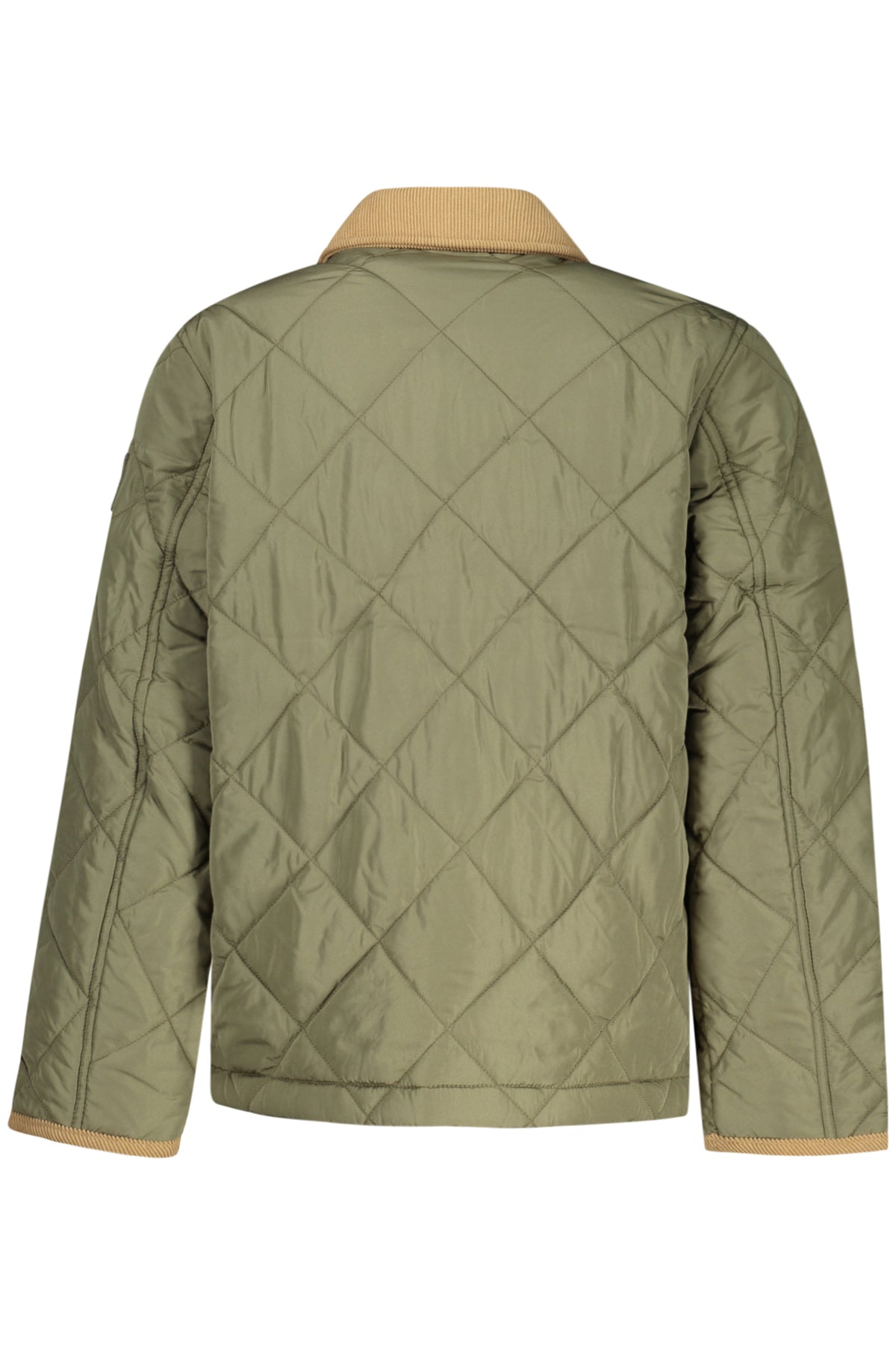 TOMMY HILFIGER Abrigos y Chaquetas Niño Verde
